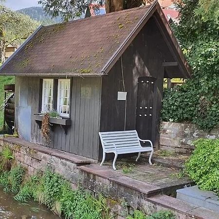 Schwarzwald Idyll โอแบร์ฮาร์แมร์สบาค ภายนอก รูปภาพ