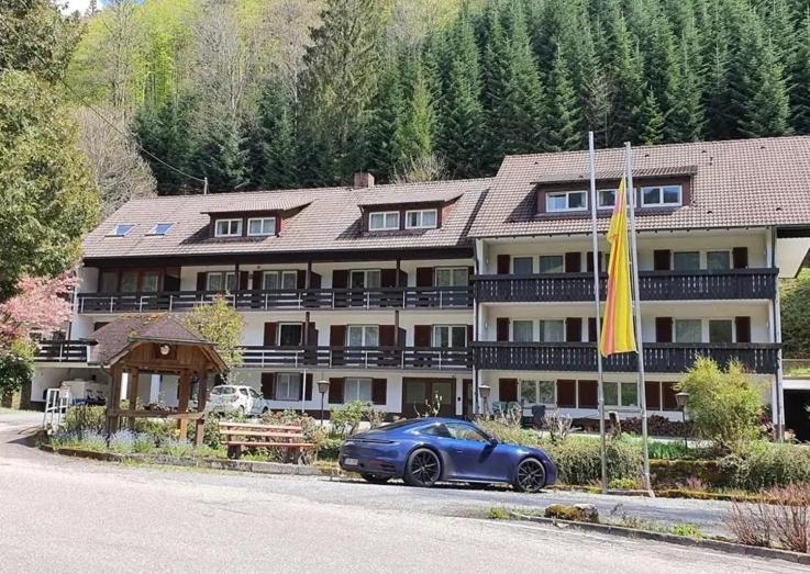 Schwarzwald Idyll โอแบร์ฮาร์แมร์สบาค ภายนอก รูปภาพ